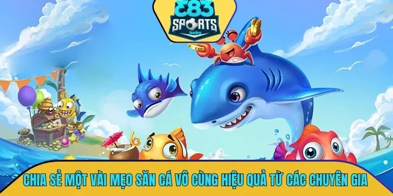 Chia sẻ một vài mẹo săn cá vô cùng hiệu quả từ các chuyên gia