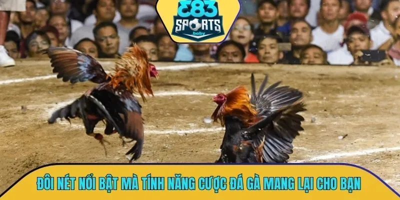 Đôi nét ưu điểm nổi bật mà tính năng cược đá gà mang lại cho bạn