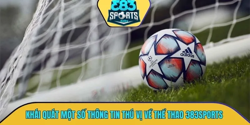 Khái quát một số thông tin vô cùng thú vị về thể thao 383SPORTS