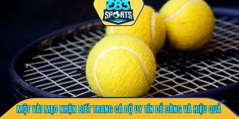Một vài mẹo nhận biết trang cá độ uy tín siêu dễ dàng và hiệu quả