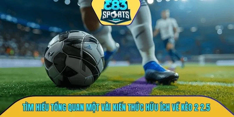 Tìm hiểu tổng quan một vài kiến thức hữu ích về kèo 2 2.5