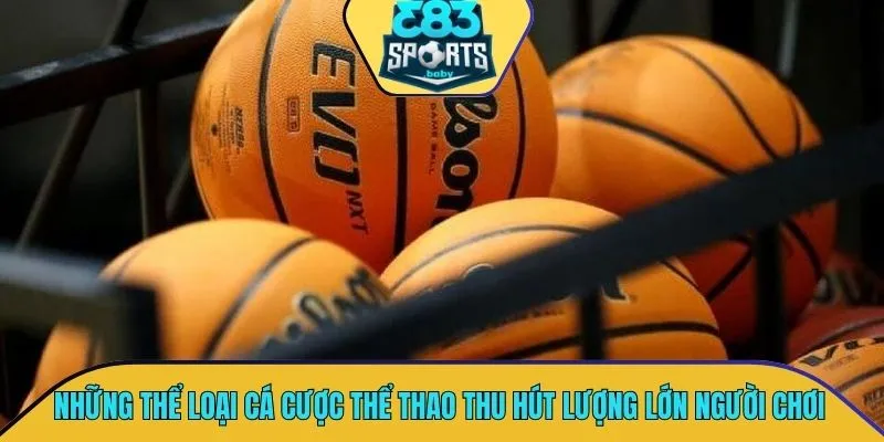 Tổng hợp những thể loại cá cược thể thao thu hút lượng lớn người chơi