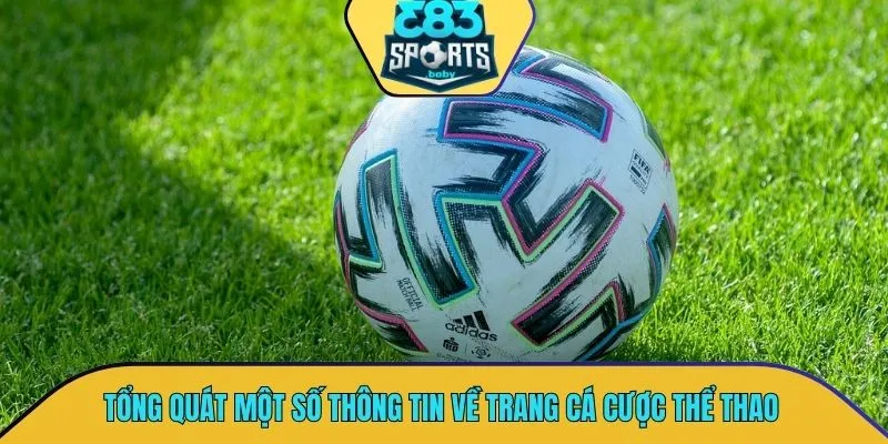 Tổng quát một số thông tin quan trọng về trang cá cược thể thao